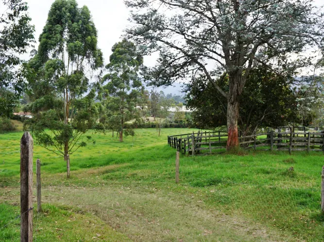 Finca en venta en Lomitas, La Ceja, 67488 m² · foto 17 de 21