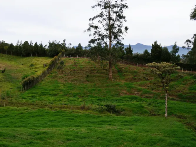 Finca en venta en Lomitas, La Ceja, 67488 m² · foto 18 de 21
