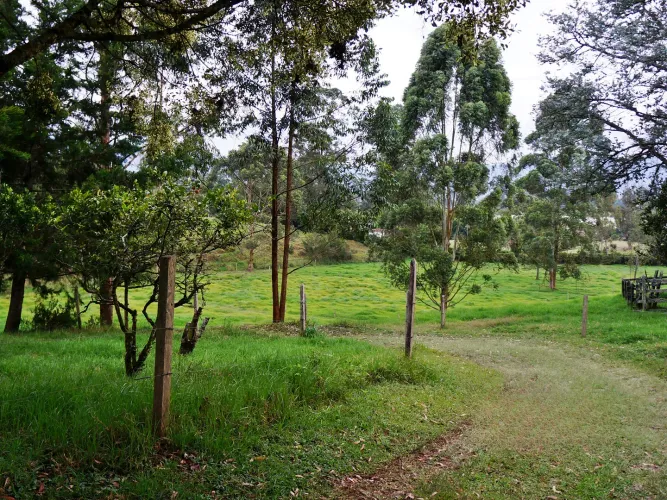 Finca en venta en Lomitas, La Ceja, 67488 m² · foto 19 de 21