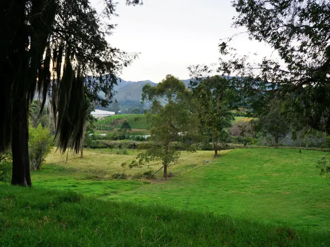 Finca en venta en Lomitas, La Ceja, 67488 m² · foto 20 de 21
