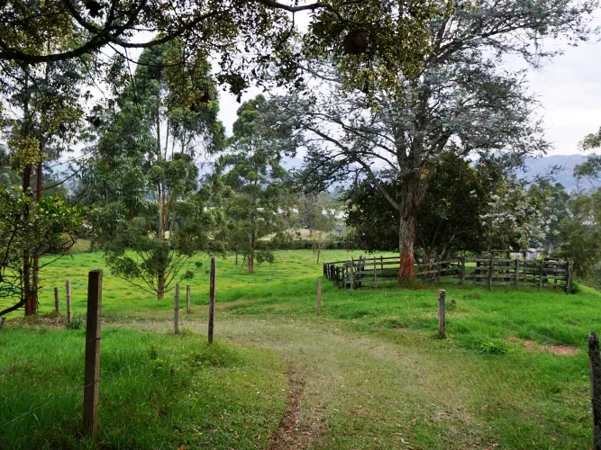 Finca en venta en Lomitas, La Ceja, 67488 m² · foto 21 de 21