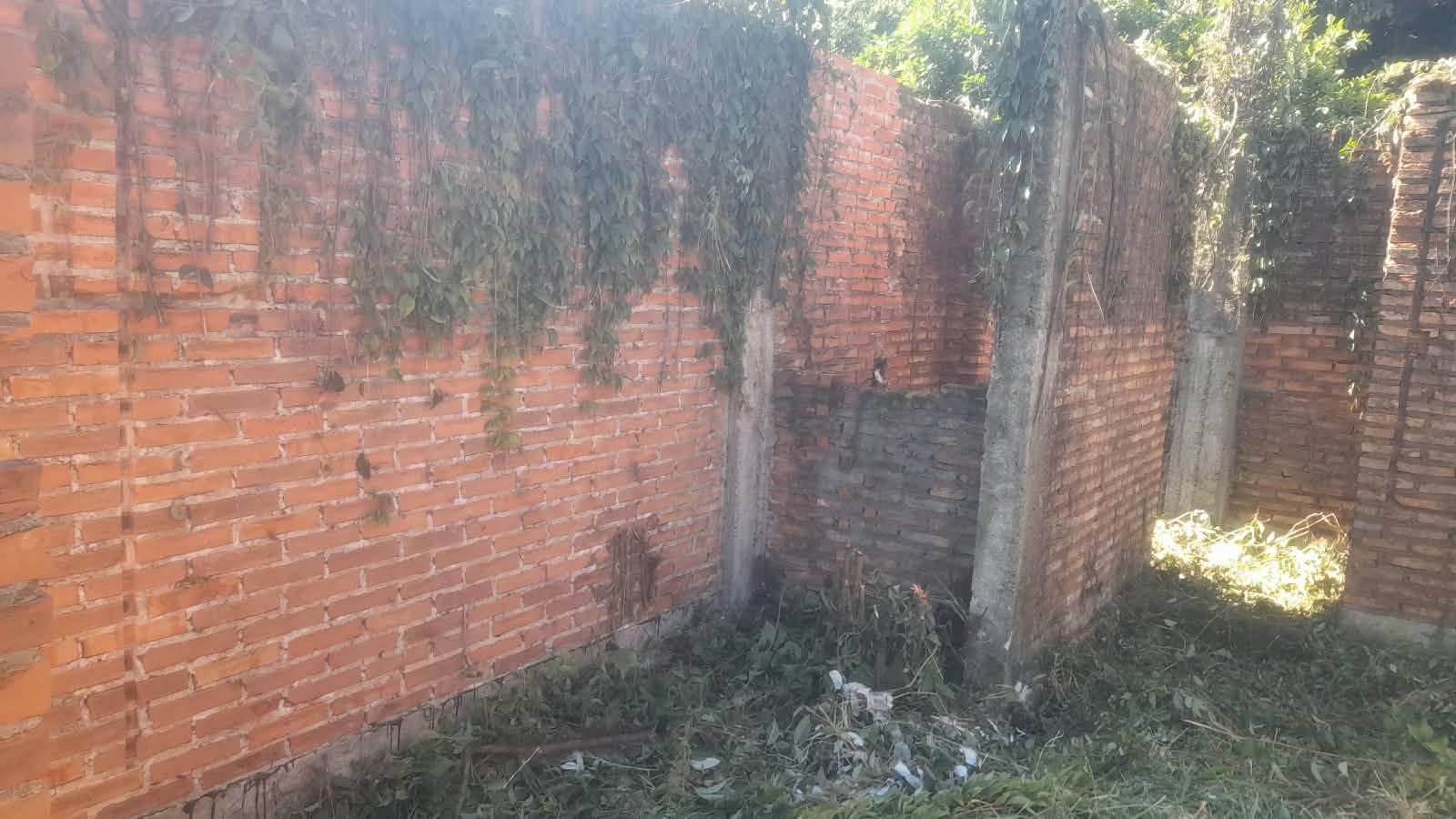 vendo terreno en capiata - foto 3