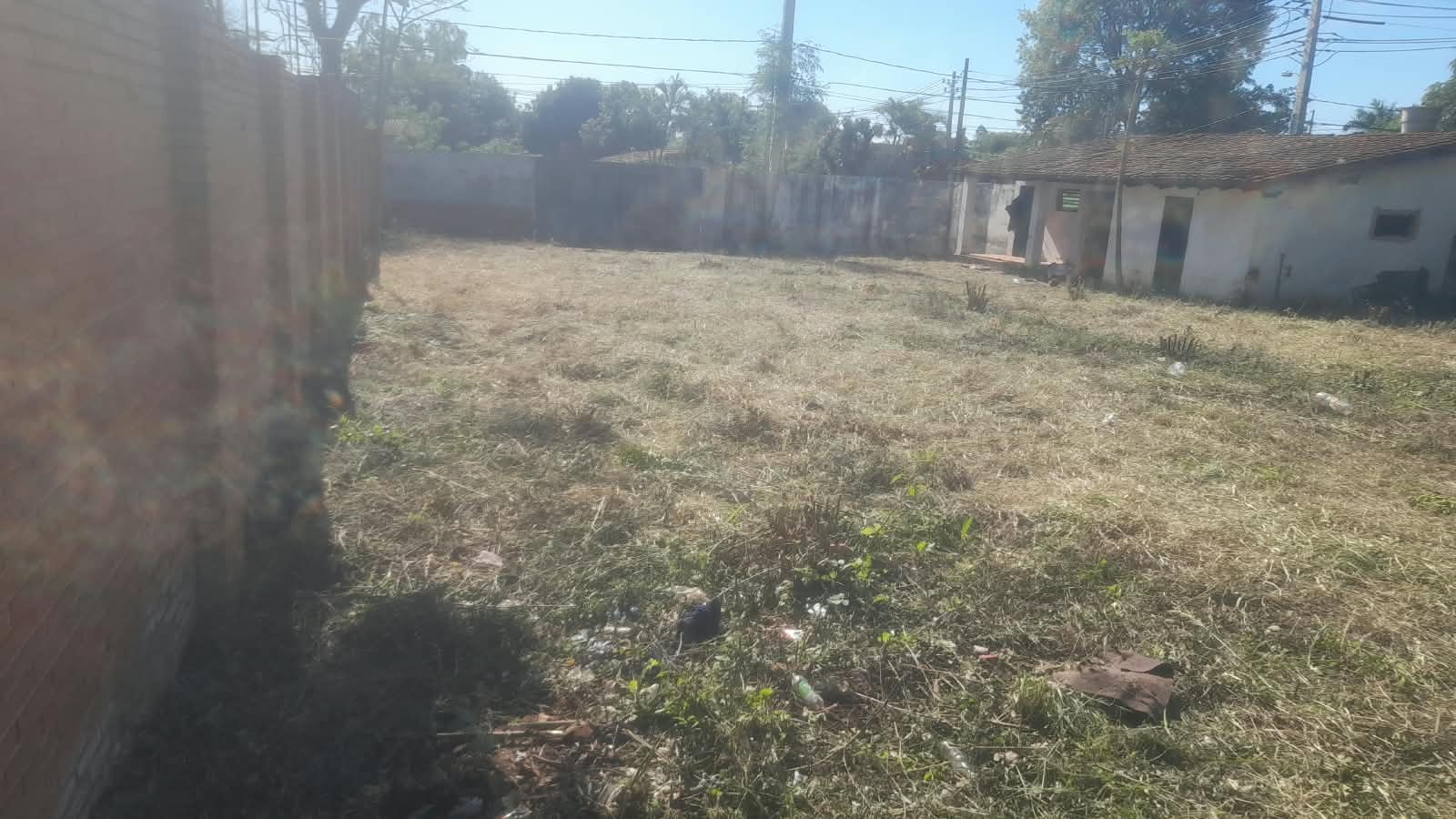 vendo terreno en capiata - foto 2