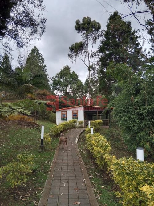 Finca en arriendo en La Hondita, Guarne, 900 m² · foto 5 de 10