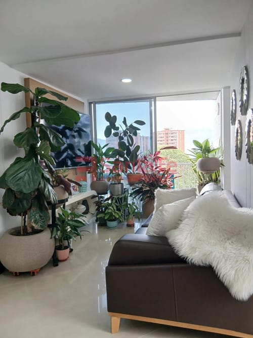 Apartamento de 2 alcobas en arriendo en Loma Del Indio, Medellín, 52 m² · foto 3 de 10