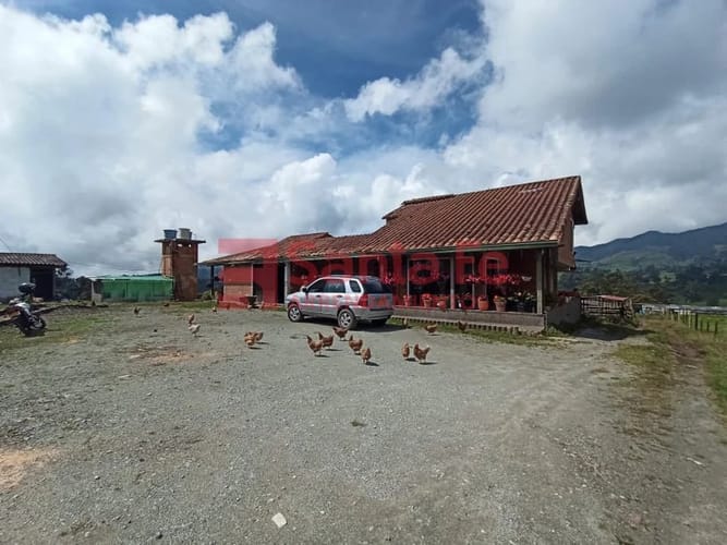 Finca en venta en Centro, Bello, 41600 m² · foto 2 de 10