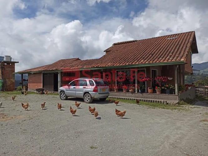 Finca en venta en Centro, Bello, 41600 m² · foto 3 de 10