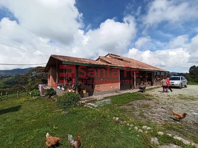 Finca en venta en Centro, Bello, 41600 m² · foto 5 de 10
