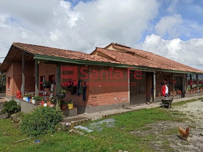 Finca en venta en Centro, Bello, 41600 m² · foto 6 de 10