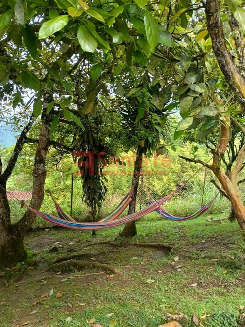 Casa de 4 alcobas en arriendo en Potrera Miserenga, Medellín, 120 m² · foto 6 de 10