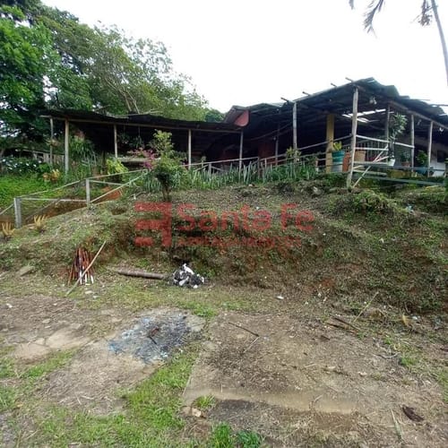 Finca en arriendo en Potrera Miserenga, Medellín, 250 m² · foto 2 de 10