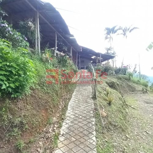 Finca en arriendo en Potrera Miserenga, Medellín, 250 m² · foto 3 de 10