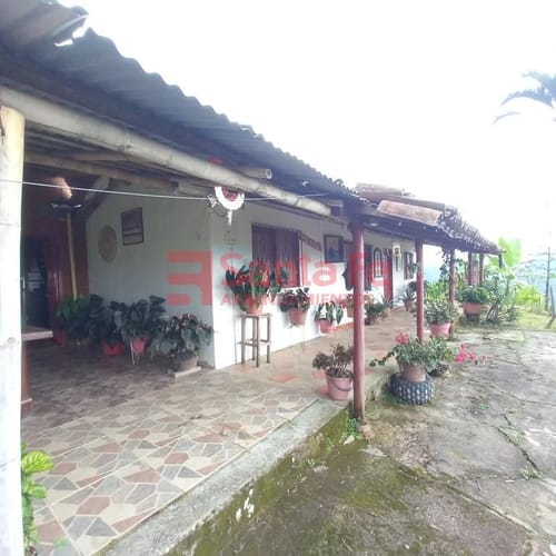 Finca en arriendo en Potrera Miserenga, Medellín, 250 m² · foto 4 de 10