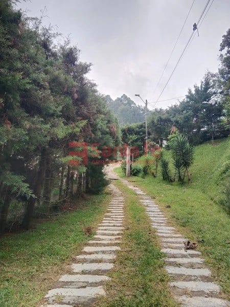 Finca en arriendo en Media Luna, Medellín, 300 m² · foto 3 de 10