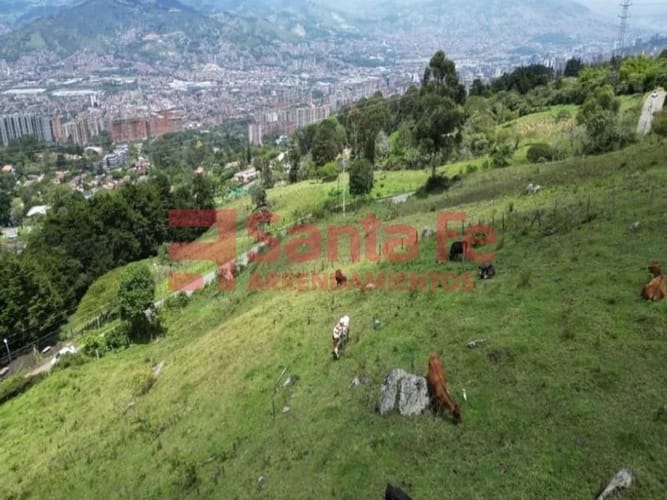Finca en venta en Camino Verde, Envigado, 78000 m² · foto 5 de 10