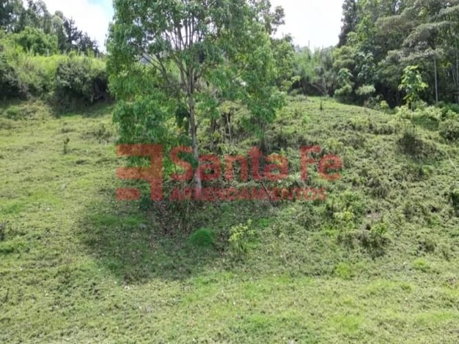 Finca en venta en Camino Verde, Envigado, 78000 m² · foto 8 de 10