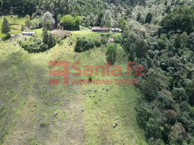 Finca en venta en Camino Verde, Envigado, 78000 m² · foto 9 de 10