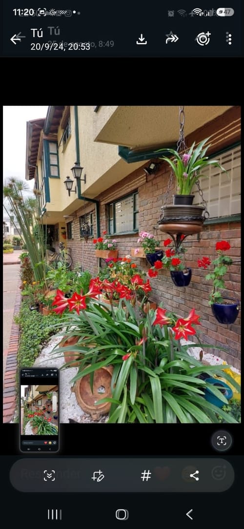 Casa de 4 alcobas en venta en Colina Campestre, Bogotá, 128 m² · foto 16 de 16
