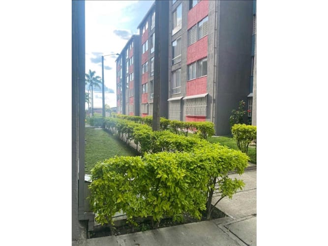 Apartamento de 3 alcobas en venta en La Cecilia, Armenia, 42 m² · foto 11 de 11