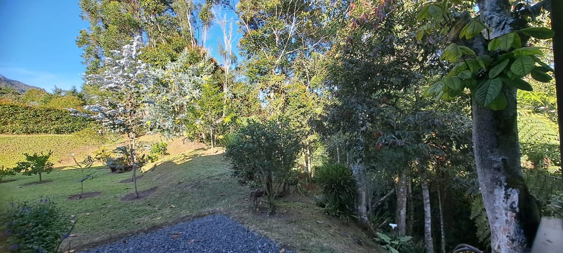 Casa de 3 alcobas en venta en Guamito, La Ceja · foto 18 de 24