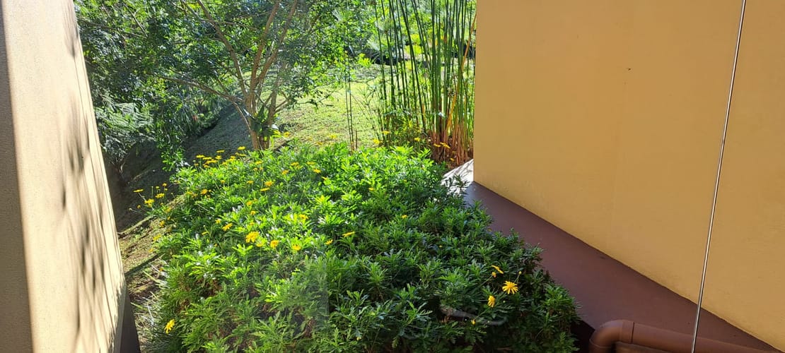 Casa de 3 alcobas en venta en Guamito, La Ceja · foto 23 de 24