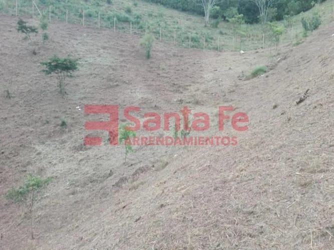 Lote en venta en Simon Bolivar Sb (Centro), Copacabana, 4094 m² · foto 4 de 10