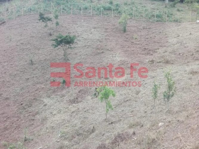 Lote en venta en Simon Bolivar Sb (Centro), Copacabana, 4094 m² · foto 6 de 10