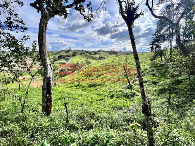 Lote en venta en Pablo Sexto, Marinilla, 9642 m² · foto 3 de 10