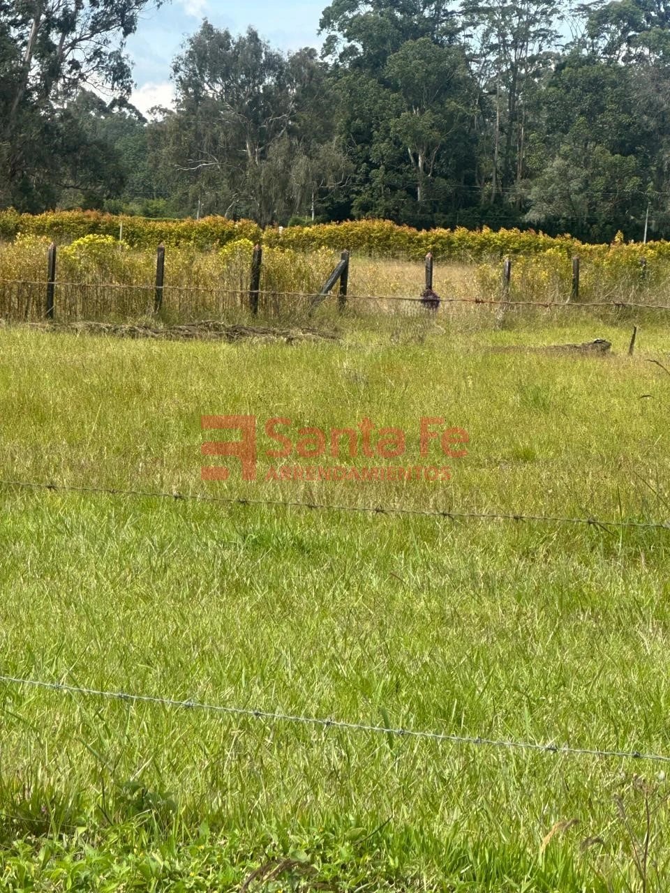 Land in Llano Grande (5000 m²) for Sale