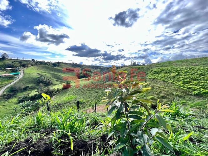 Lote en venta en Pablo Sexto, Marinilla, 9642 m² · foto 2 de 10