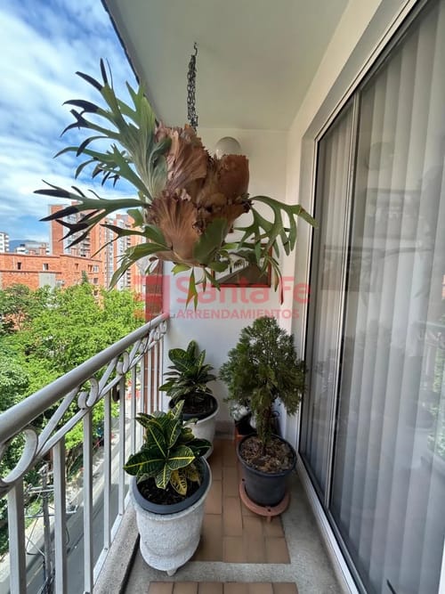 Apartamento de 3 alcobas en venta en El Poblado, Medellín, 81 m² · foto 3 de 10