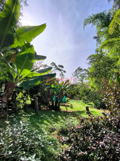 Finca en venta en El Retiro, 280 m² · foto 3 de 10