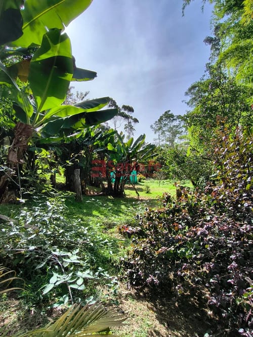 Finca en venta en El Retiro, 280 m² · foto 6 de 10