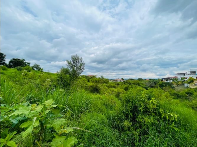 Lote en venta en Villa Luz, Armenia, 4200 m² · foto 3 de 6