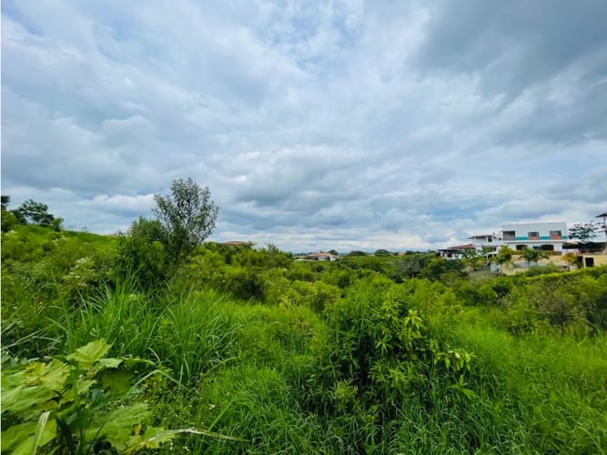 Lote en venta en Villa Luz, Armenia, 4200 m² · foto 4 de 6