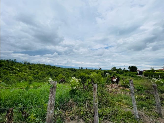 Lote en venta en Centenario, Armenia, 3754 m² · foto 2 de 4