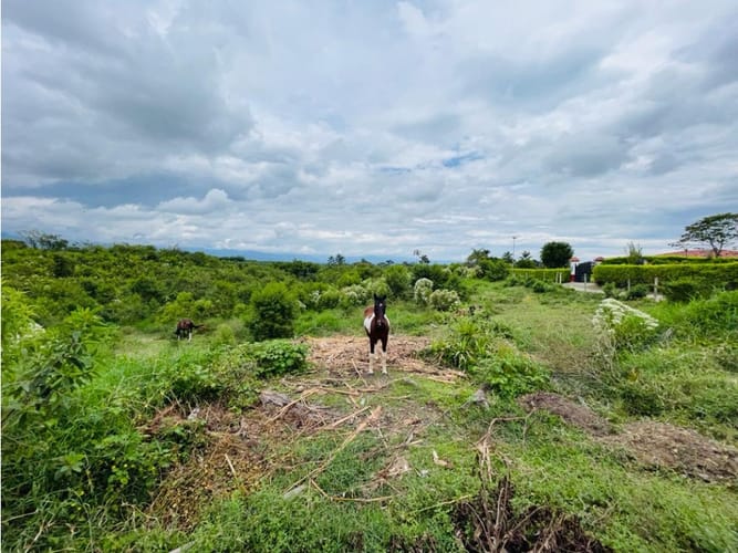Lote en venta en Centenario, Armenia, 3754 m² · foto 3 de 4