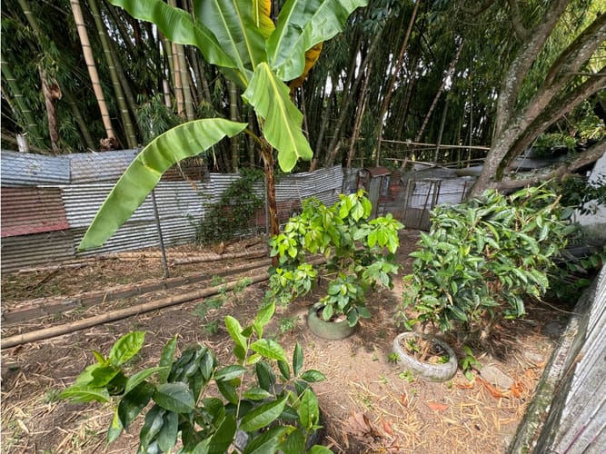 Lote en venta en San Jose, Armenia, 345 m² · foto 21 de 21