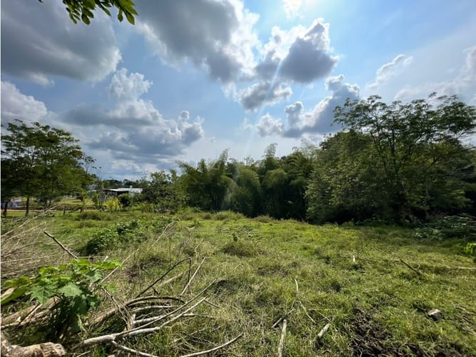 Lote en venta en Via La Tebaida, Armenia, 3700 m² · foto 2 de 17