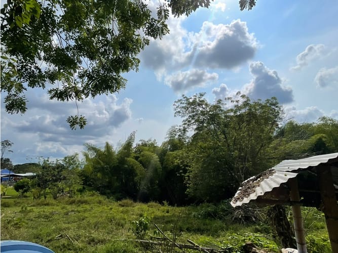 Lote en venta en Via La Tebaida, Armenia, 3700 m² · foto 3 de 17
