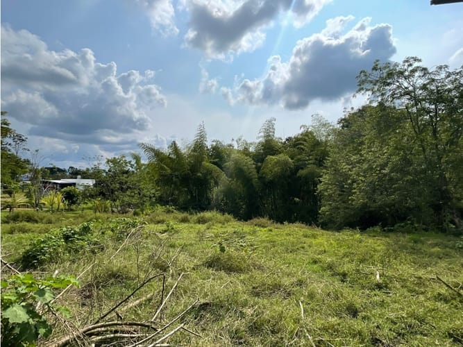 Lote en venta en Via La Tebaida, Armenia, 3700 m² · foto 4 de 17