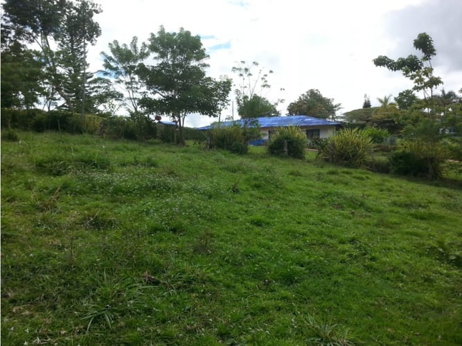 Lote en venta en Via La Tebaida, Armenia, 3700 m² · foto 10 de 17