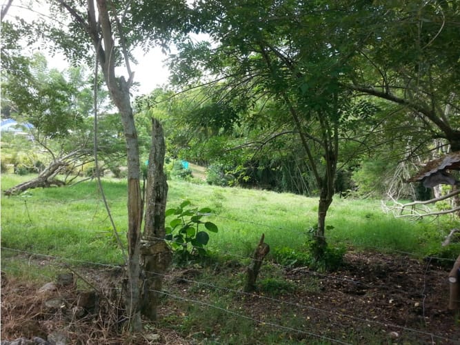 Lote en venta en Via La Tebaida, Armenia, 3700 m² · foto 11 de 17