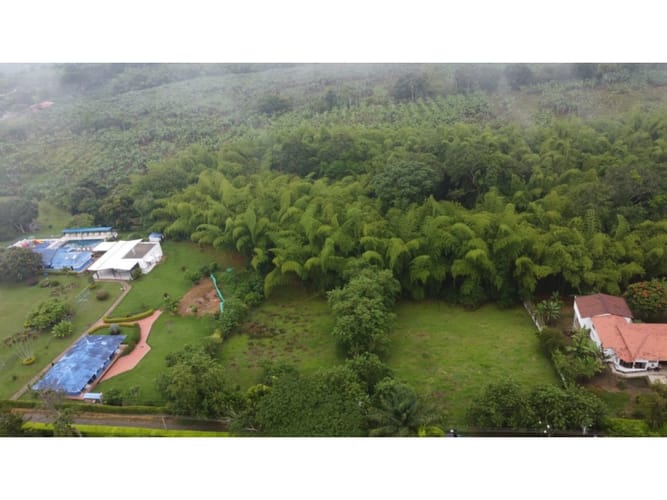Lote en venta en Via La Tebaida, Armenia, 3700 m² · foto 12 de 17