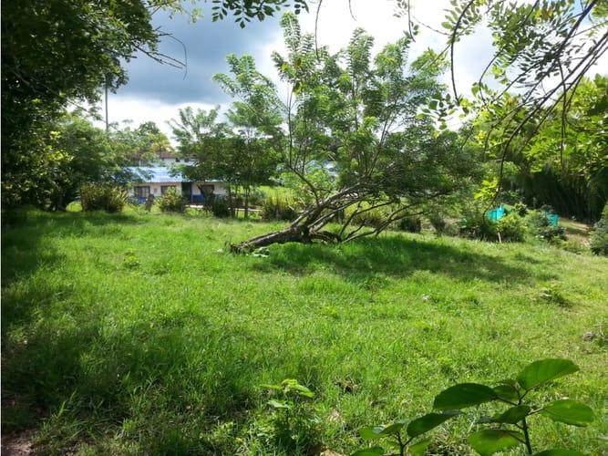 Lote en venta en Via La Tebaida, Armenia, 3700 m² · foto 15 de 17