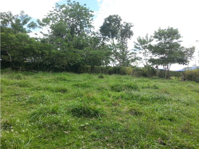 Lote en venta en Via La Tebaida, Armenia, 3700 m² · foto 17 de 17