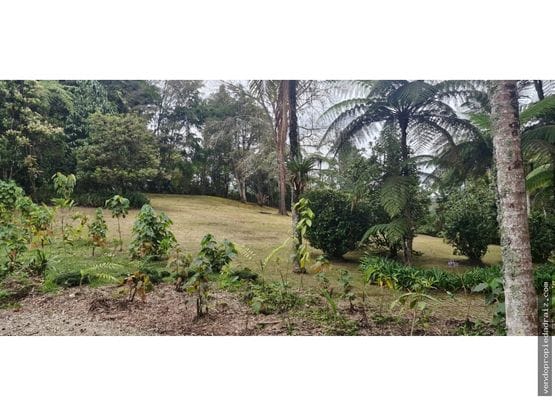 Lote en venta en El Tablazo, Rionegro, 1450 m² · foto 8 de 18