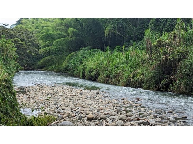 Finca en arriendo en La Estrella La Palm, Pereira, 2000 m² · foto 5 de 24
