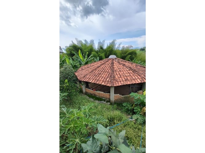 Finca en arriendo en La Estrella La Palm, Pereira, 2000 m² · foto 18 de 24