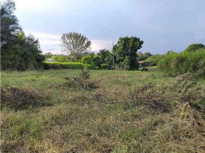 Lote en venta en Murillo, Armenia, 3073 m² · foto 3 de 10